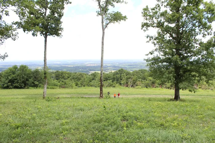 Circle E Guest Ranch Picture 9