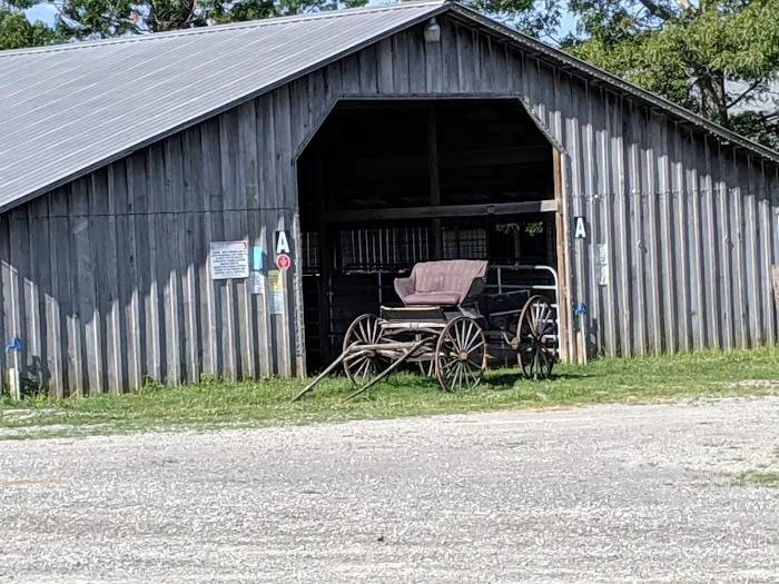 Circle E Guest Ranch Picture 6