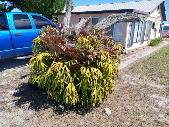 Lopez RV Park & Marina Picture 8