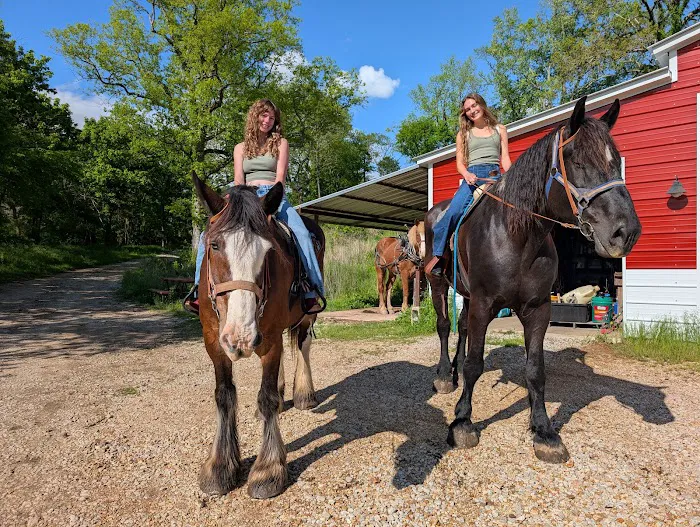 Clydesdale Experience and Campgrounds Picture 2