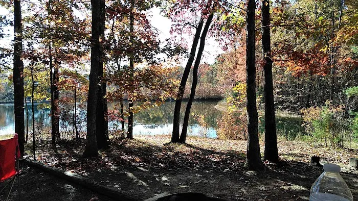 Tranquility RV & Campground Picture 4
