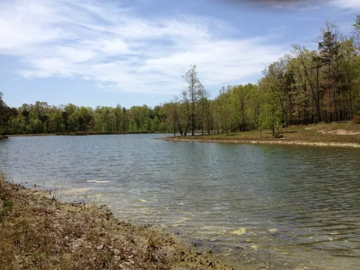 Tranquility RV & Campground Picture 9