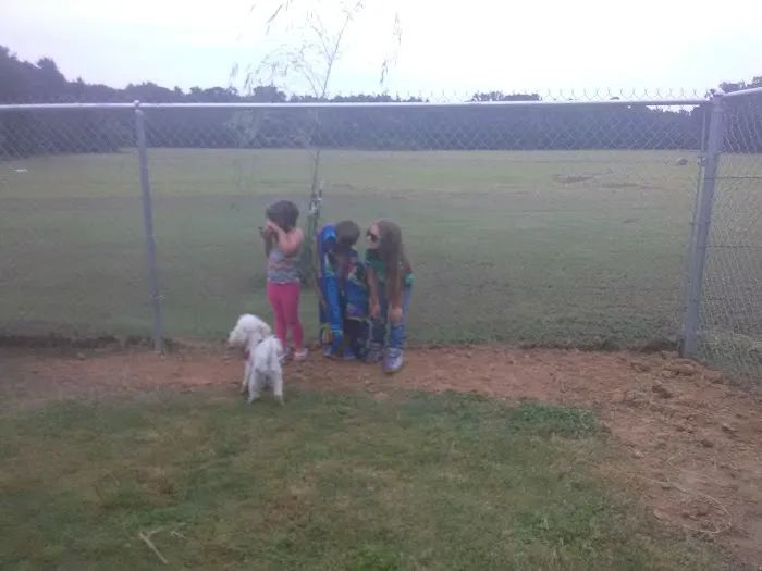 Cabot RV Park Picture 6