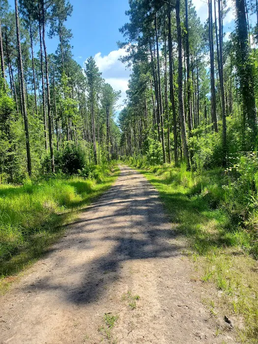 Broxton Bridge Campgrounds Picture 2