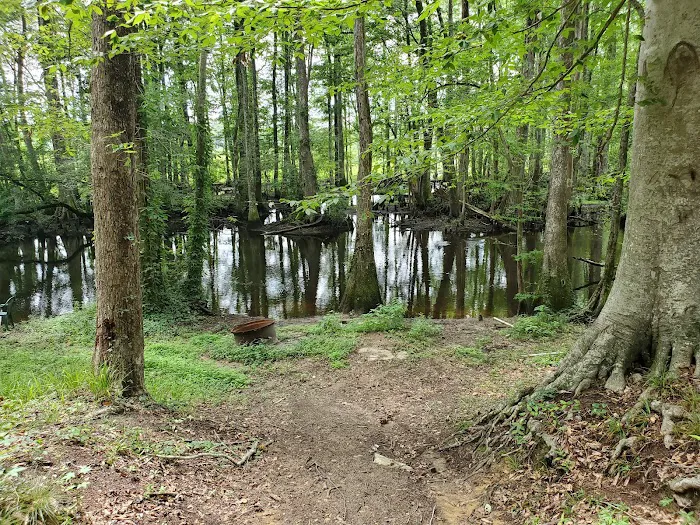 Broxton Bridge Campgrounds Picture 6