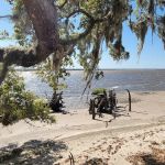 Brickhill Bluff Wilderness Campsite