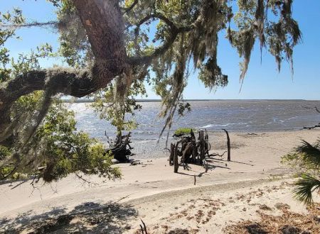 Brickhill Bluff Wilderness Campsite