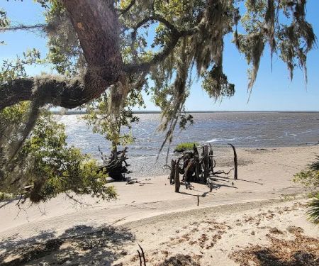 Brickhill Bluff Wilderness Campsite