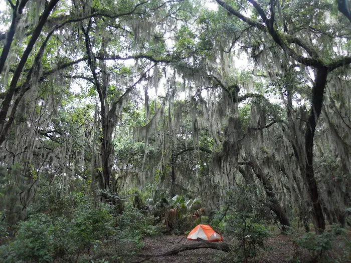 Hickory Hill Campground Picture 2