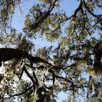 Hickory Hill Campground ico