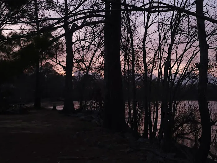 Carter's Bight Picture 2