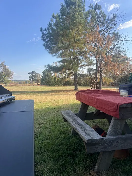 Hillbilly Haven RV Park Picture 8