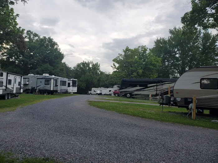 Tanbark Campground Picture 8