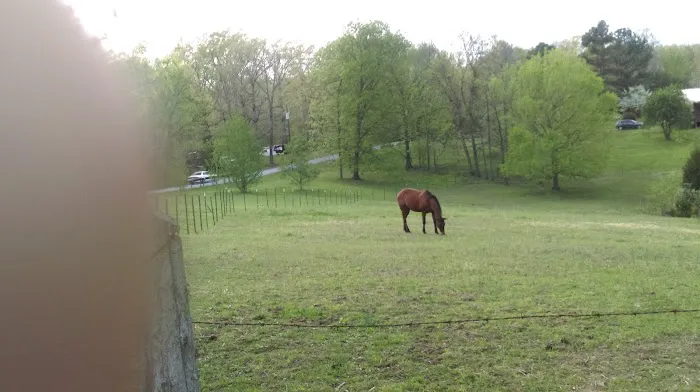 Tanbark Campground Picture 3