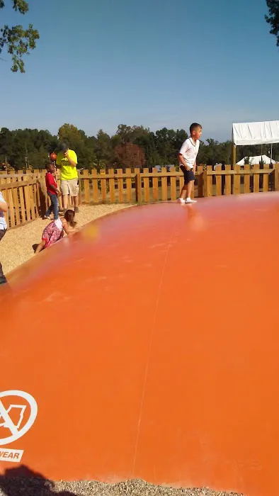 Crystal Hill RV Park Picture 3