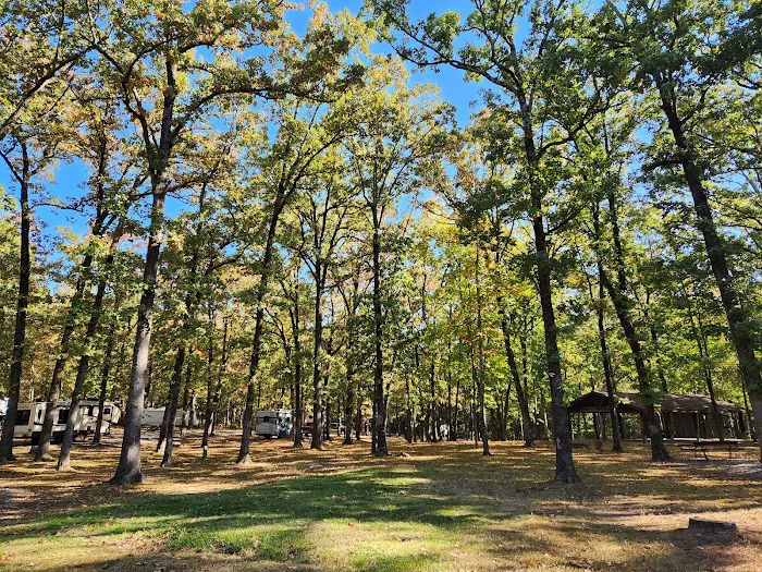 Burns Park RV Park and Campground Picture 4