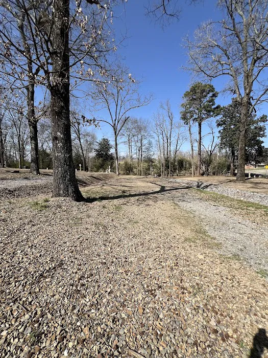 Giffords RV Park Picture 3