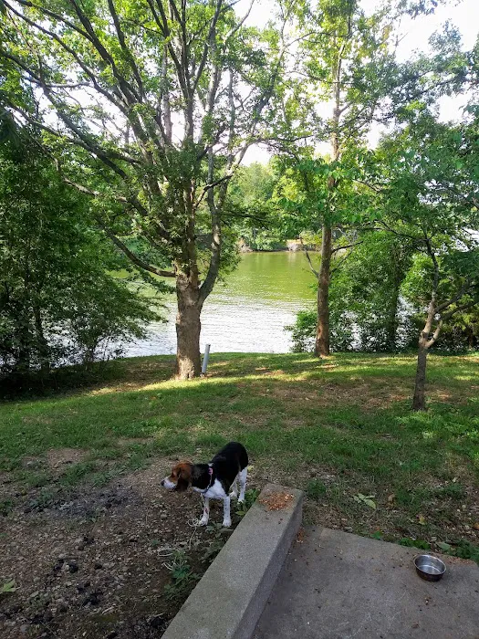 Cages Bend Campground Picture 7