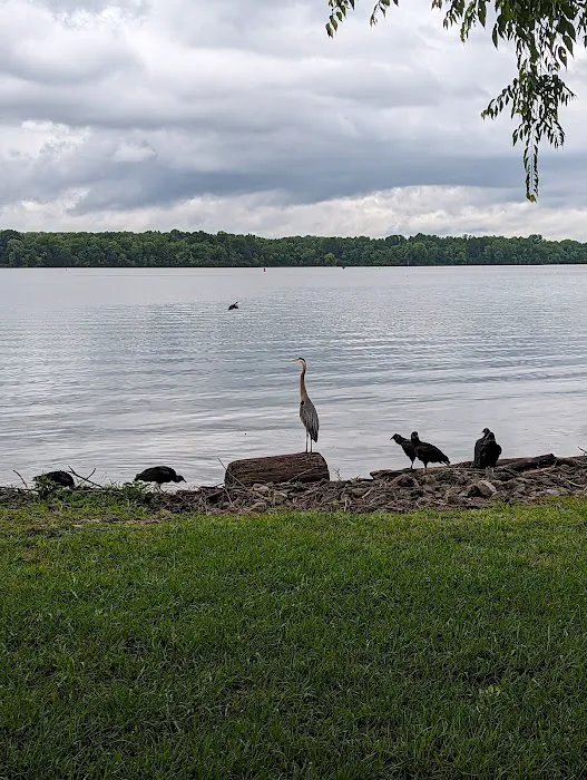 Cages Bend Campground Picture 4
