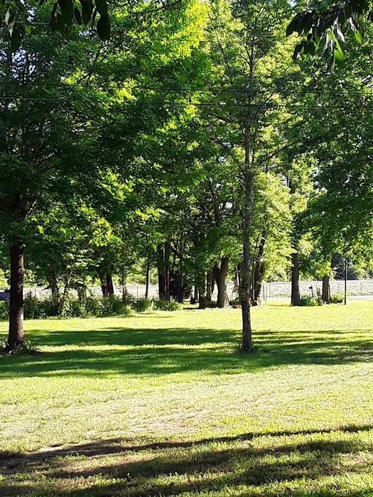 Landing Campground Picture 4