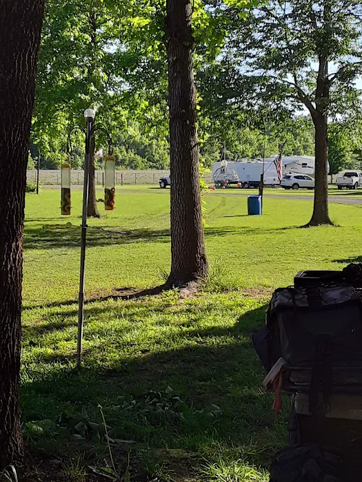 Landing Campground Picture 2