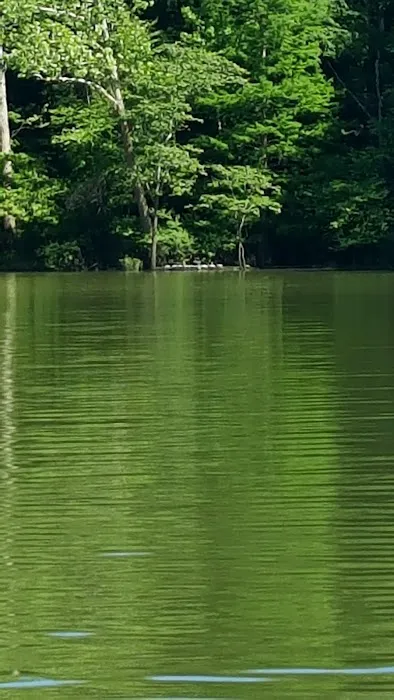 Rushing Bay Camp Spot Picture 1