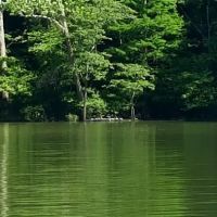 Rushing Bay Camp Spot ico