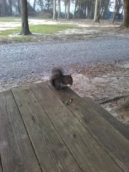 Stop & Rest RV Park Picture 3