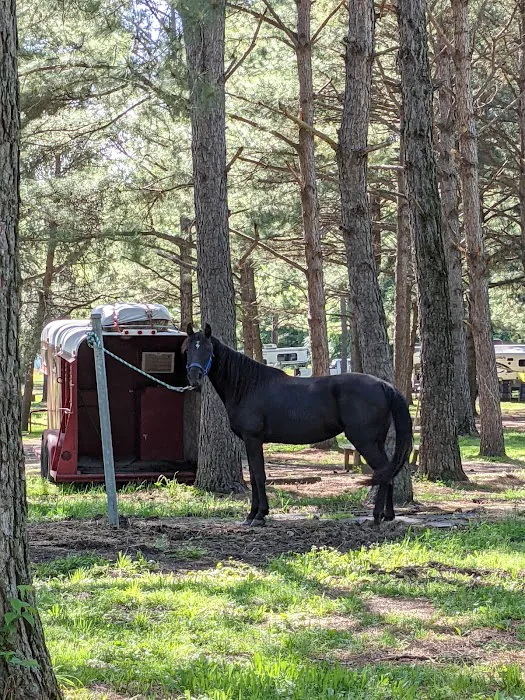 Wranglers Campground: Land Between the Lakes Picture 4