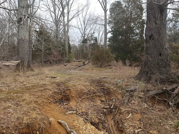 Boswell Landing Self-Service Campground & Boat Ramp Picture 1