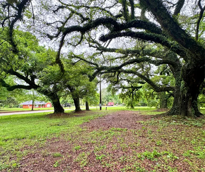 Shady Oaks Picture 5