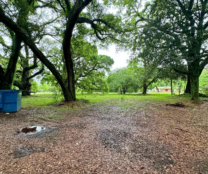Shady Oaks Picture 6