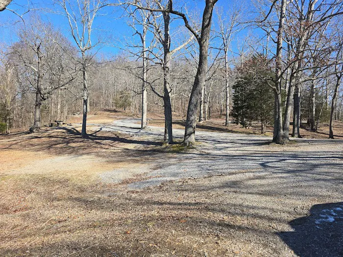 Redd Hollow Self-Service Campground & Boat Ramp Picture 9