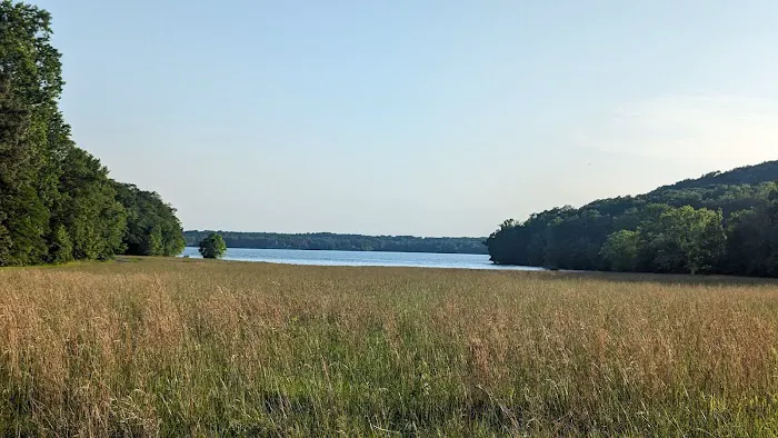 Colson Hollow Group Camping Area Picture 5