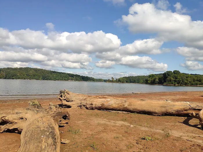 Lake Barkley Campground Picture 8