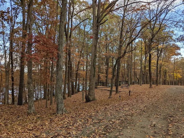 Lake Barkley Campground Picture 6