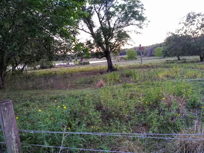 Lakeview In the Hls Mobile Home Picture 5