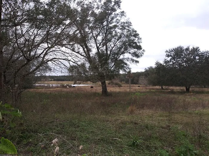 Lakeview In the Hls Mobile Home Picture 10