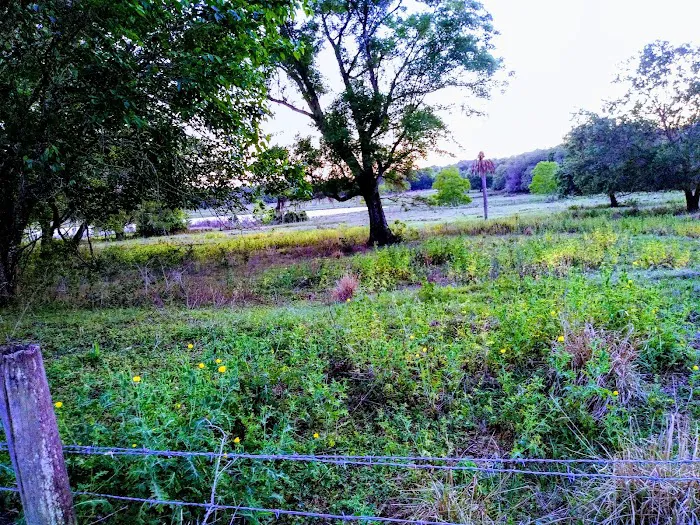 Lakeview In the Hls Mobile Home Picture 7