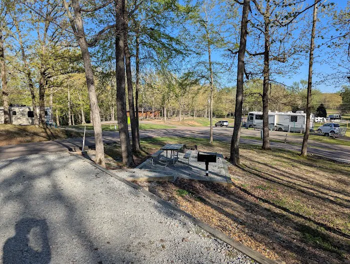 Paris Landing State Park Campground Picture 10