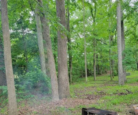 Paris Landing State Park Campground