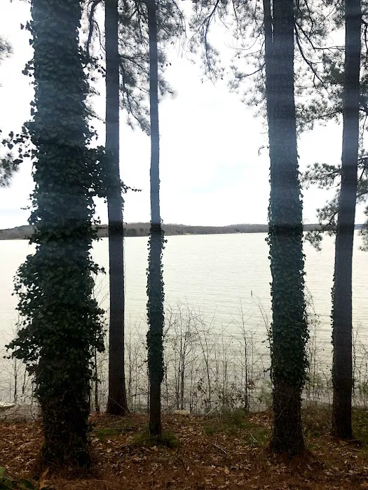 Big Eagle Campground Picture 3