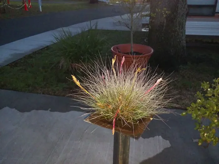 Mockingbird Mobile Home Park Picture 3