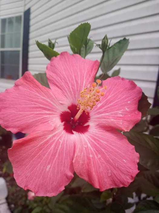 Caribbean estates mobile home park Picture 1