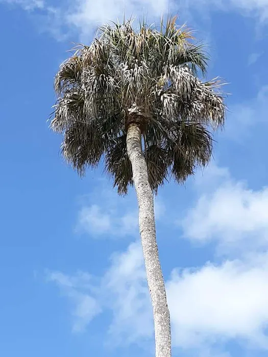 Caribbean estates mobile home park Picture 3