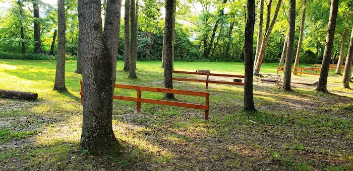 Paris Landing / Kentucky Lake KOA Holiday Picture 9