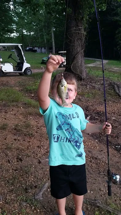 Britton Ford Campground Picture 3