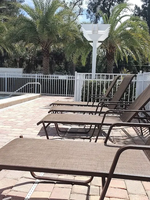 Ja-Mar South RV Resort Picture 6