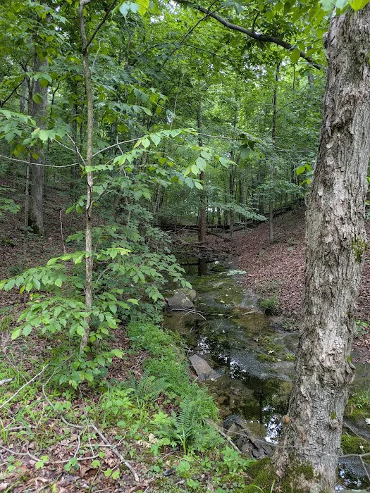 Buck Ridge Campground Picture 1