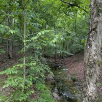 Buck Ridge Campground ico